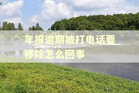 年报逾期被打电话要移除怎么回事