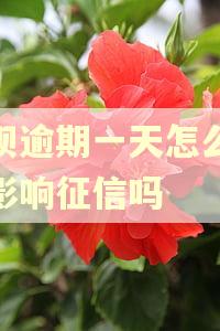 借呗逾期一天怎么办会影响征信吗
