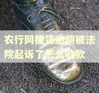 农行网捷贷逾期被法院起诉了怎么收款