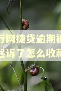 农行网捷贷逾期被法院起诉了怎么收款 农行网捷贷逾期被法院起诉了怎么收款