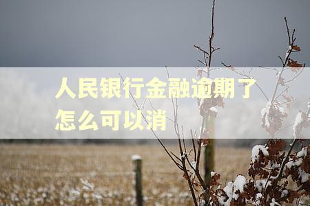 人民银行金融逾期了怎么可以消