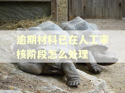 逾期材料已在人工审核阶段怎么处理