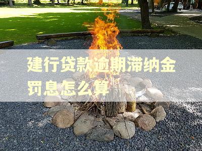 建行贷款逾期滞纳金罚息怎么算