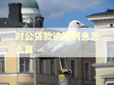 对公贷款逾期利息怎么算
