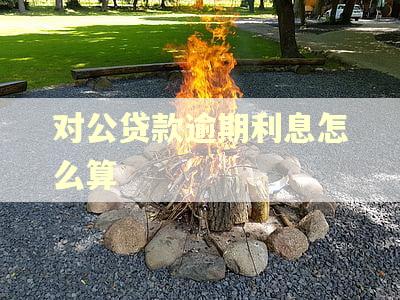 对公贷款逾期利息怎么算