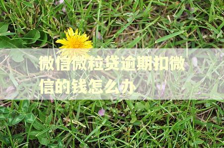 微信微粒贷逾期扣微信的钱怎么办 微信微粒贷逾期扣微信的钱怎么办