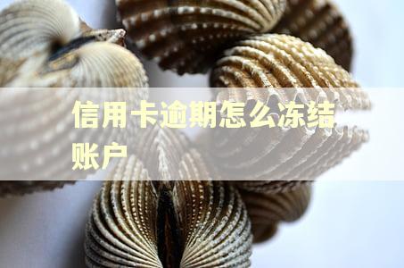 信用卡逾期怎么冻结账户 信用卡逾期怎么冻结账户