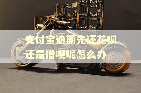 支付宝逾期先还花呗还是借呗呢怎么办