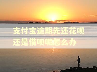 支付宝逾期先还花呗还是借呗呢怎么办
