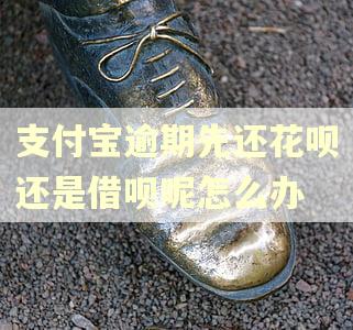 支付宝逾期先还花呗还是借呗呢怎么办