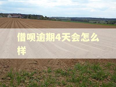 借呗逾期4天会怎么样