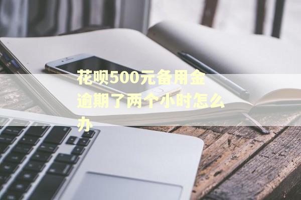 花呗500元备用金逾期了两个小时怎么办