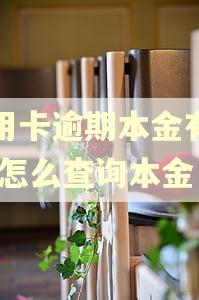 信用卡逾期本金有异议,怎么查询本金