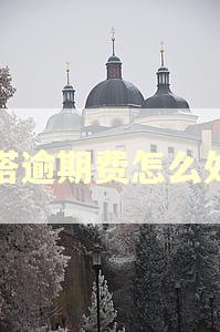 铁塔逾期费怎么处理 铁塔逾期费怎么处理
