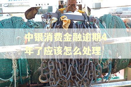 中银消费金融逾期4年了应该怎么处理