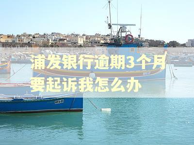 浦发银行逾期3个月要起诉我怎么办