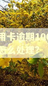 信用卡逾期100万该怎么处理?