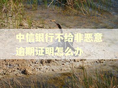 中信银行不给非恶意逾期证明怎么办