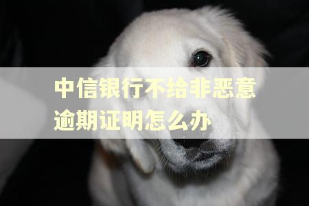 中信银行不给非恶意逾期证明怎么办 中信银行不给非恶意逾期证明怎么办