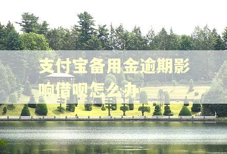支付宝备用金逾期影响借呗怎么办