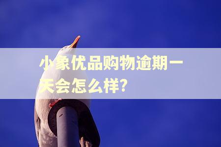 小象优品购物逾期一天会怎么样?