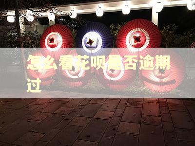 怎么看花呗是否逾期过