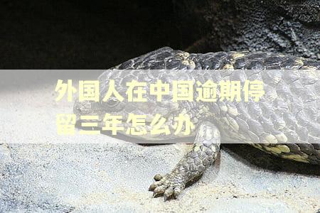 外国人在中国逾期停留三年怎么办