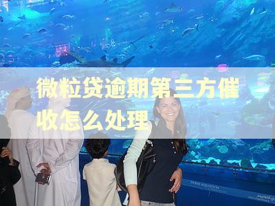 微粒贷逾期第三方催收怎么处理 微粒贷逾期第三方催收怎么处理
