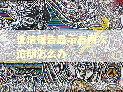 征信报告显示有两次逾期怎么办