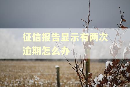 征信报告显示有两次逾期怎么办