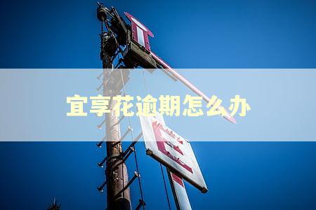 宜享花逾期怎么办 宜享花逾期怎么办