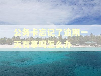 公务卡忘记了逾期一天有事吗怎么办