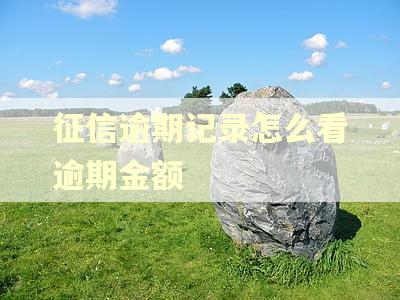 征信逾期记录怎么看逾期金额 征信逾期记录怎么看逾期金额