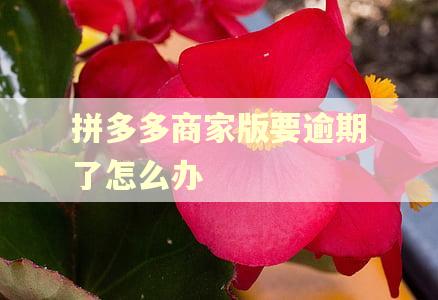 拼多多商家版要逾期了怎么办 拼多多商家版要逾期了怎么办