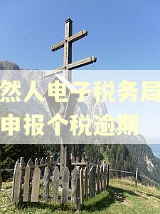 自然人电子税务局怎么申报个税逾期