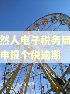自然人电子税务局怎么申报个税逾期