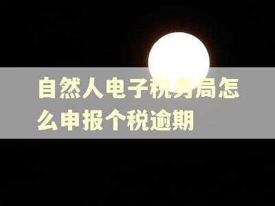 自然人电子税务局怎么申报个税逾期 自然人电子税务局怎么申报个税逾期