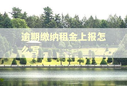 逾期缴纳租金上报怎么写