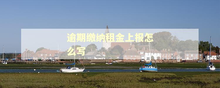 逾期缴纳租金上报怎么写