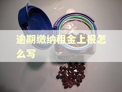 逾期缴纳租金上报怎么写