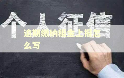 逾期缴纳租金上报怎么写