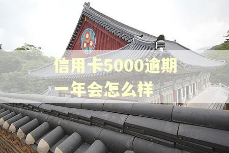信用卡5000逾期一年会怎么样