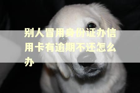 别人冒用身份证办信用卡有逾期不还怎么办