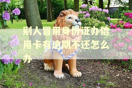 别人冒用身份证办信用卡有逾期不还怎么办