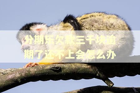 分期乐欠款三千块逾期了还不上会怎么办