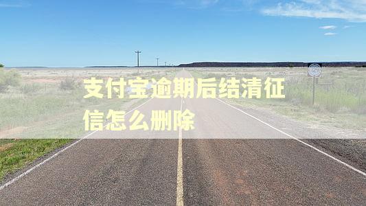 支付宝逾期后结清征信怎么删除