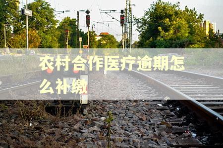 农村合作医疗逾期怎么补缴