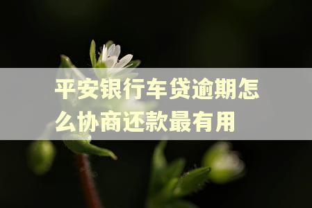 平安银行车贷逾期怎么协商还款最有用