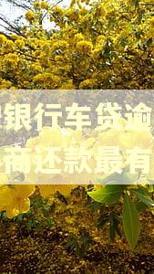 平安银行车贷逾期怎么协商还款最有用