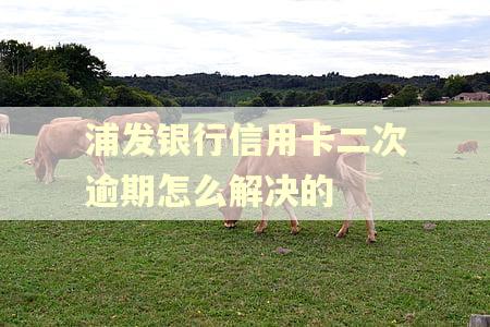 浦发银行信用卡二次逾期怎么解决的